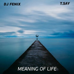 Meaning of Life (feat. T.Say)