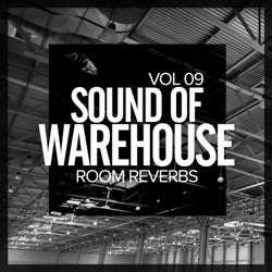 Sound Of Warehouse, Vol.9: Room Reverbs