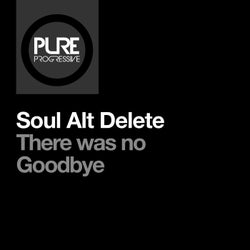 There Was No Goodbye