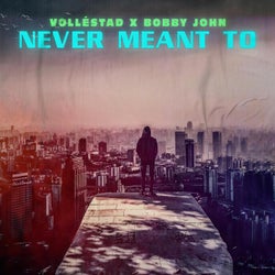 Never Meant To (feat. Bobby John)