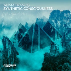 Synthetic Consciousness