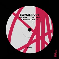 The Way to the Light (Homo Novo Remixes)