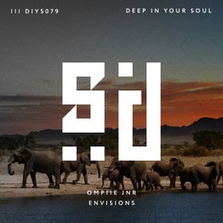 Envisions