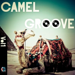 Camel Groove, Vol.1