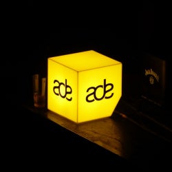 Foreign Guest enters ADE 15