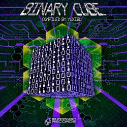 Binary Cube