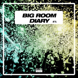 Big Room Diary, Vol. 14