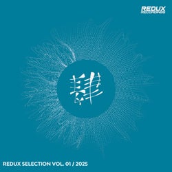 Redux Selection, Vol. 1 / 2025