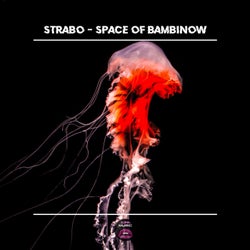 Space of Bambinow