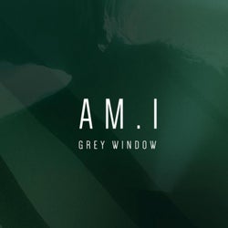 Grey Window