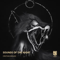 Sounds of the Night