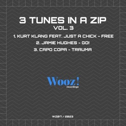 3 Tunes in a ZIP, Vol. 3