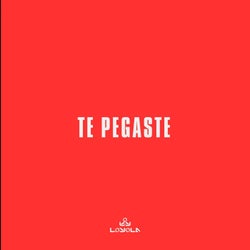 TE PEGASTE (Radio Edit)