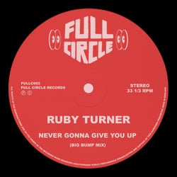 Never Gonna Give You Up (Big Bump Mix)