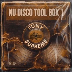Nu Disco Tool Box 1