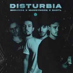 Disturbia (Extended Mix)