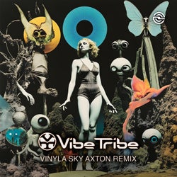 Vinyla Sky (Axton Remix)