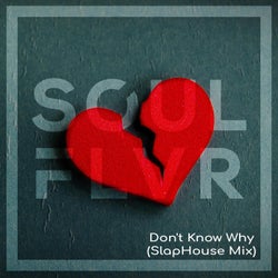 Don't Know Why (SlapHouse Mix)