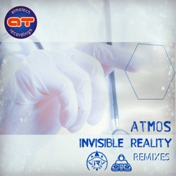 The Invisible Reality Remixes