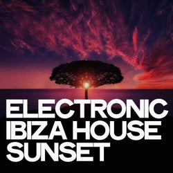 Electronic Ibiza House Sunset