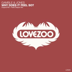 Why Does It Feel So?