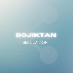 Simulation