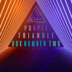Purple Triangle Box Number Two