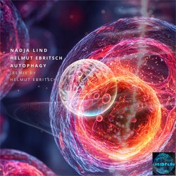Autophagy
