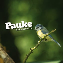 Pauke August Selections