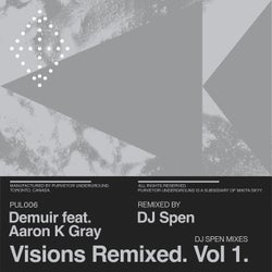 Visions (Remixed Vol. 1 - DJ Spen Mixes)