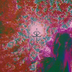 electric forest