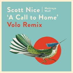 A Call to Home (Volo Remix)