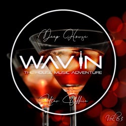 WAV IN VOL 63 DEEP NU DISCO After Office WAV