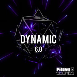 Dynamic 6.0