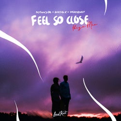 Feel So Close (Ibiza Mix)