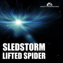Lifted Spider