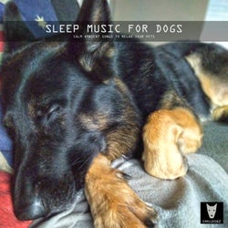 Sleep Music for Dogs (Calm Ambient Songs to Relax Your Pets)