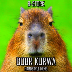 Bobr Kurwa (Hardstyle Meme)