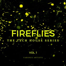 Fireflies (The Tech House Series), Vol. 1