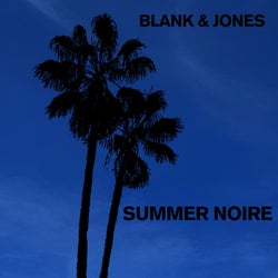 Summer Noire