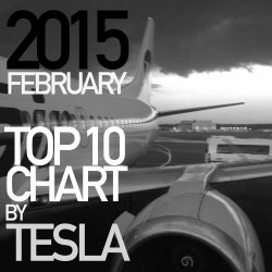 TESLA FEBRUARY TOP 10