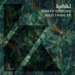Wild Thing EP