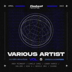 Flexbeat Records - Various Artists Vol.5