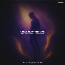 I Was Hurt Before