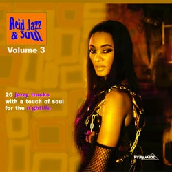 Acid Jazz & Soul: 20 Jazzy Tracks With a Touch of Soul for the Nightlife, Vol. 3