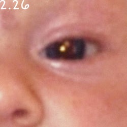 2.26, Pt. 2