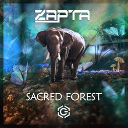 Sacred Forest