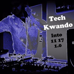 ***TechKwando Into 11 17***