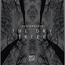 The Dry Tree