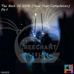 The Best Of 2016 (New Year Compilation), Pt. 1